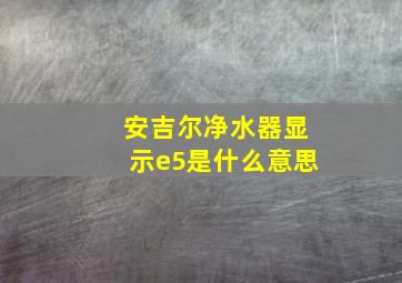 安吉尔净水器显示e5是什么意思