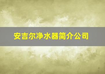 安吉尔净水器简介公司