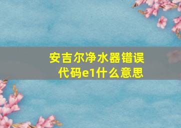 安吉尔净水器错误代码e1什么意思