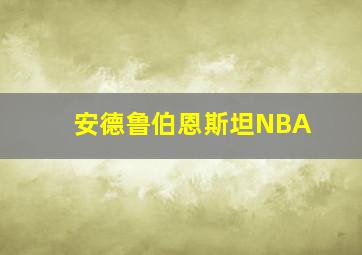 安德鲁伯恩斯坦NBA