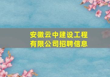 安徽云中建设工程有限公司招聘信息