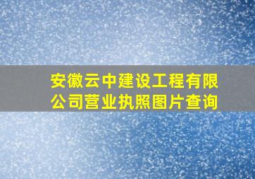 安徽云中建设工程有限公司营业执照图片查询