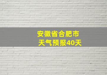 安徽省合肥市天气预报40天