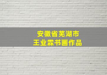 安徽省芜湖市王业霖书画作品