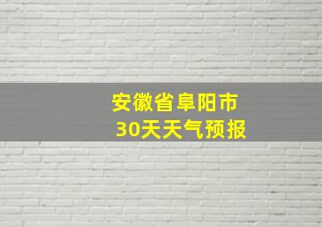 安徽省阜阳市30天天气预报