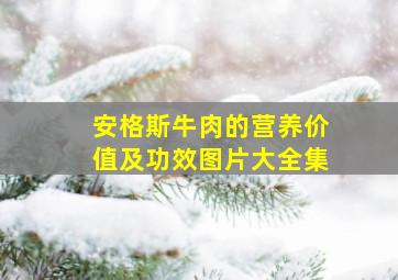 安格斯牛肉的营养价值及功效图片大全集