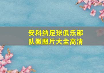 安科纳足球俱乐部队徽图片大全高清