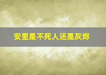 安里是不死人还是灰烬