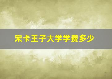 宋卡王子大学学费多少