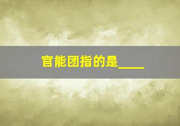 官能团指的是____