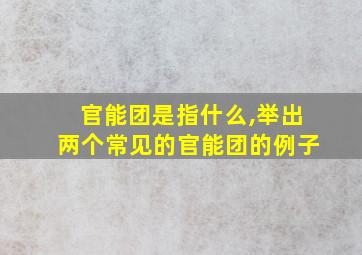 官能团是指什么,举出两个常见的官能团的例子