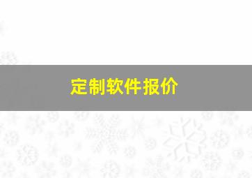 定制软件报价