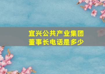 宜兴公共产业集团董事长电话是多少