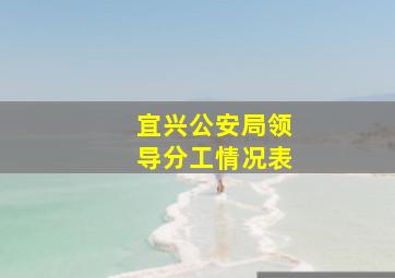 宜兴公安局领导分工情况表