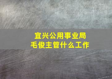 宜兴公用事业局毛俊主管什么工作