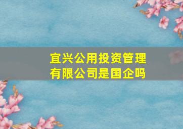 宜兴公用投资管理有限公司是国企吗