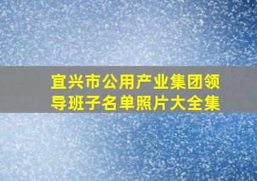 宜兴市公用产业集团领导班子名单照片大全集