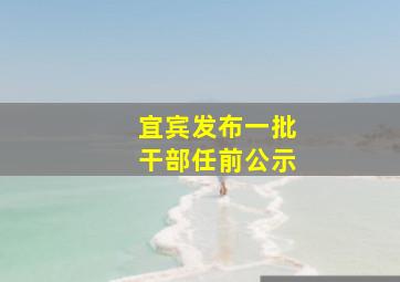 宜宾发布一批干部任前公示