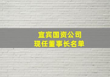 宜宾国资公司现任董事长名单