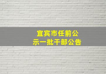 宜宾市任前公示一批干部公告