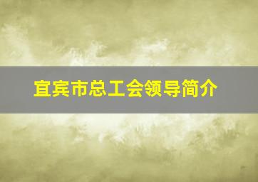 宜宾市总工会领导简介