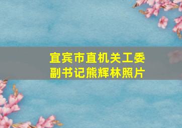 宜宾市直机关工委副书记熊辉林照片