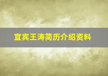 宜宾王涛简历介绍资料