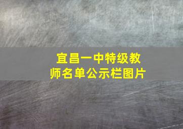 宜昌一中特级教师名单公示栏图片