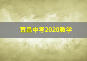 宜昌中考2020数学