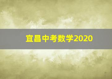 宜昌中考数学2020