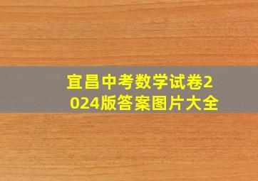 宜昌中考数学试卷2024版答案图片大全