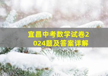 宜昌中考数学试卷2024题及答案详解