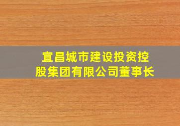 宜昌城市建设投资控股集团有限公司董事长