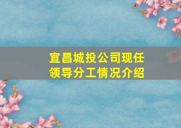 宜昌城投公司现任领导分工情况介绍