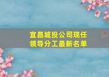 宜昌城投公司现任领导分工最新名单