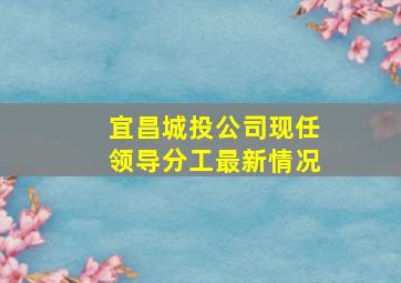 宜昌城投公司现任领导分工最新情况