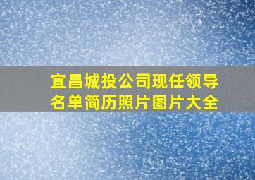 宜昌城投公司现任领导名单简历照片图片大全