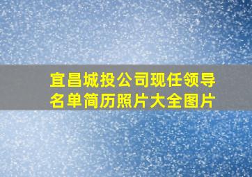 宜昌城投公司现任领导名单简历照片大全图片