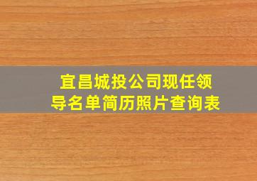 宜昌城投公司现任领导名单简历照片查询表