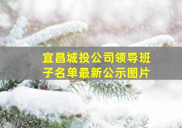 宜昌城投公司领导班子名单最新公示图片