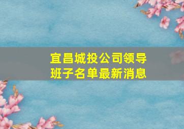 宜昌城投公司领导班子名单最新消息