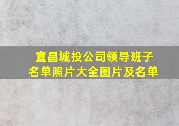 宜昌城投公司领导班子名单照片大全图片及名单