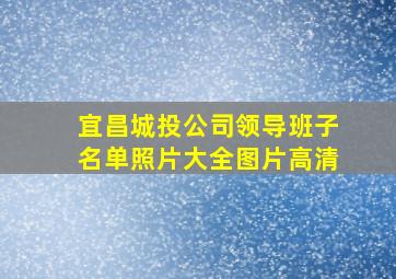 宜昌城投公司领导班子名单照片大全图片高清