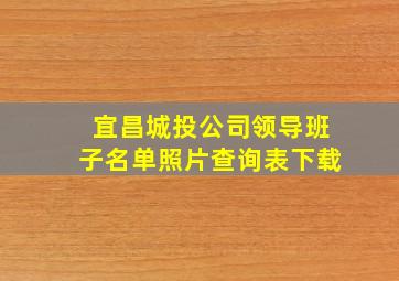 宜昌城投公司领导班子名单照片查询表下载