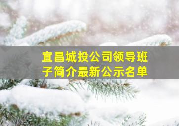 宜昌城投公司领导班子简介最新公示名单