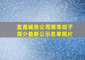 宜昌城投公司领导班子简介最新公示名单照片