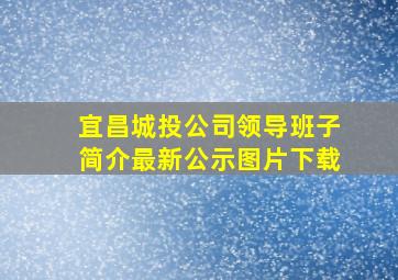 宜昌城投公司领导班子简介最新公示图片下载