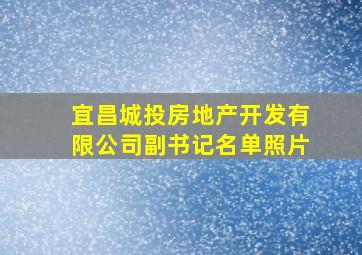 宜昌城投房地产开发有限公司副书记名单照片