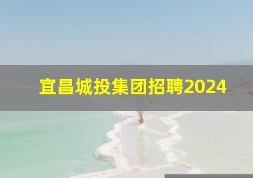 宜昌城投集团招聘2024