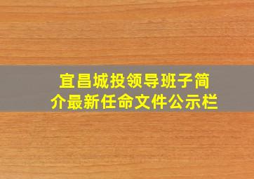 宜昌城投领导班子简介最新任命文件公示栏